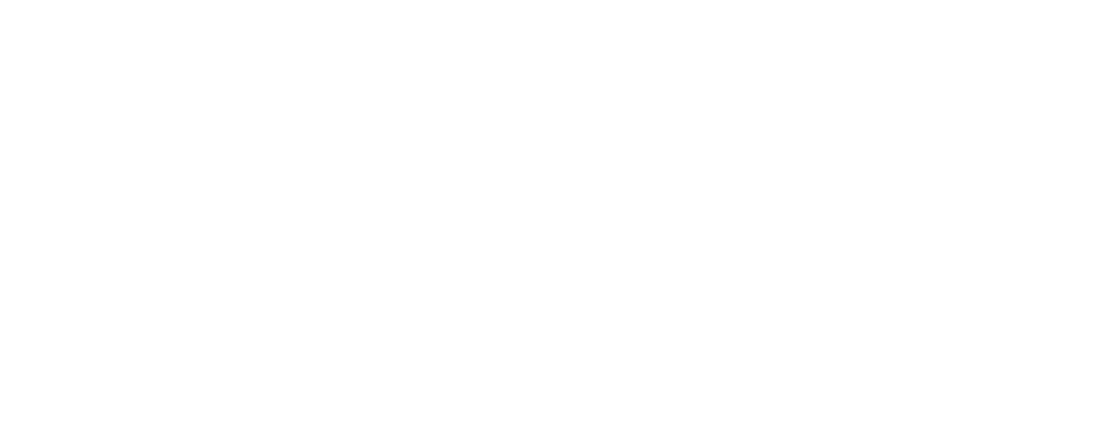 The Sunshine Lawyers